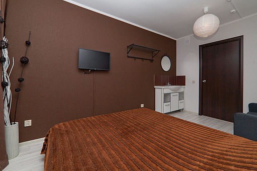 Аврора на Вайнера - Улучшенный с одной двуспальной кроватью и диваном - В номере